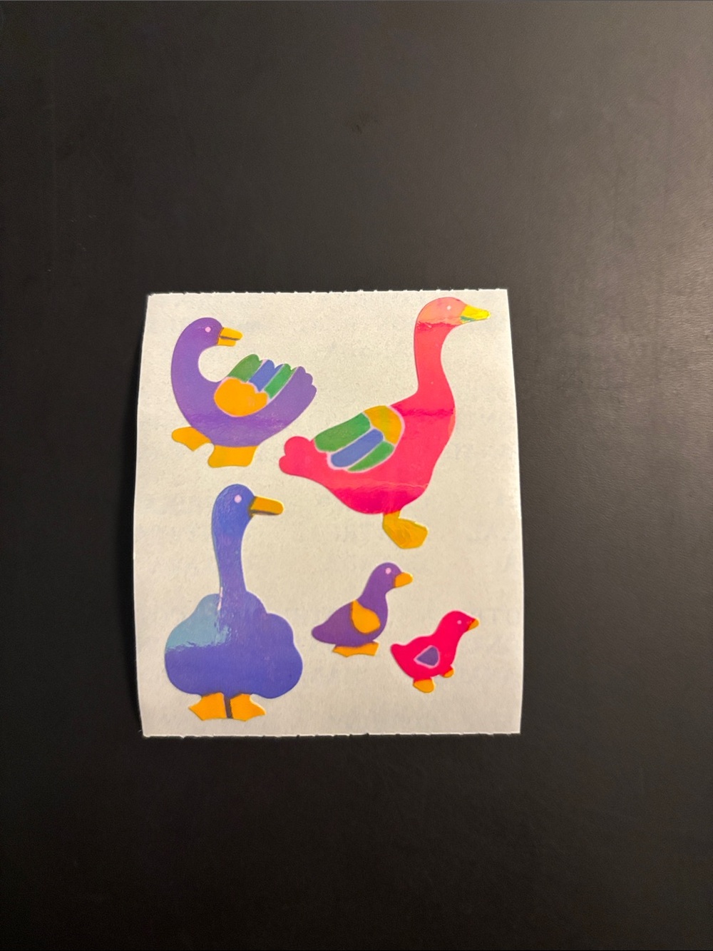 Cotrin Country Goose Pearly Sticker Mod Vintage 80's